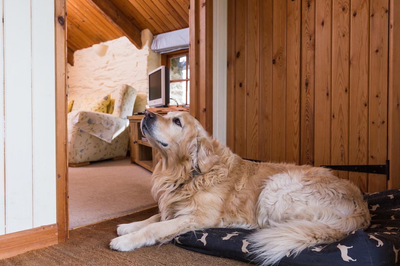 Bed & Breakfast Trenderway Farm 5*